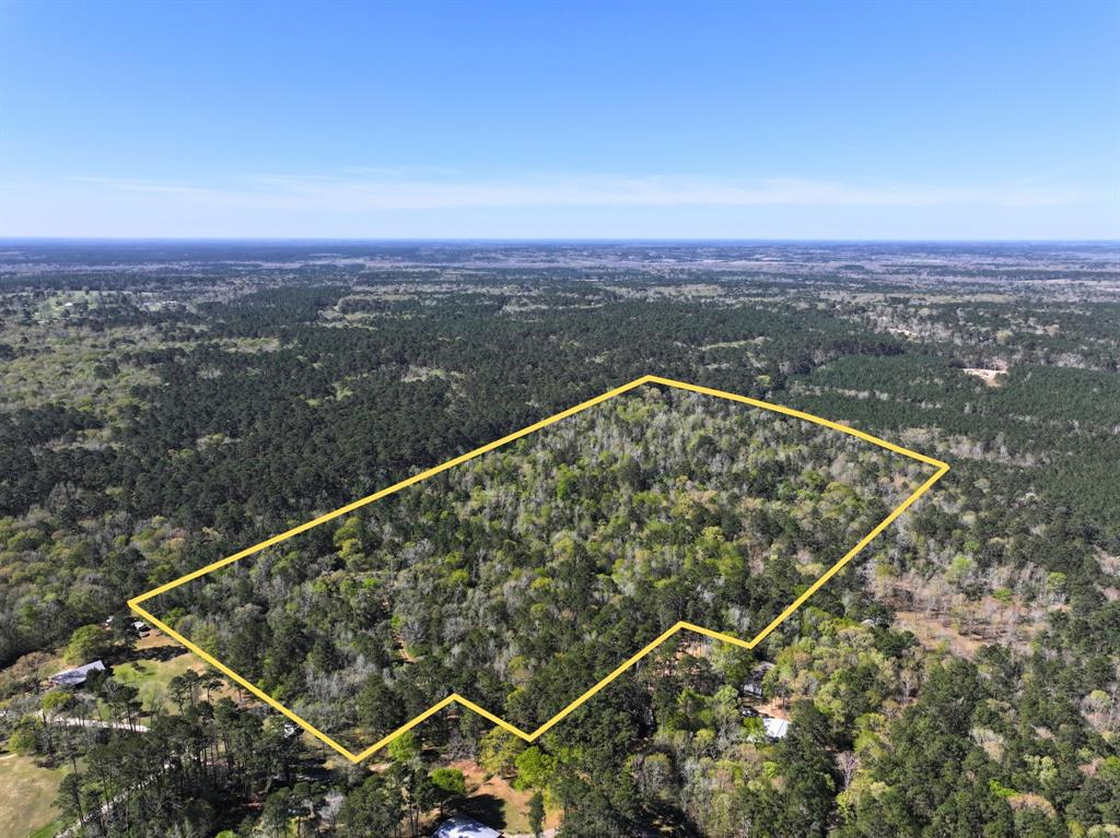 Ripple Creek Dr, Coldspring, Texas image 1