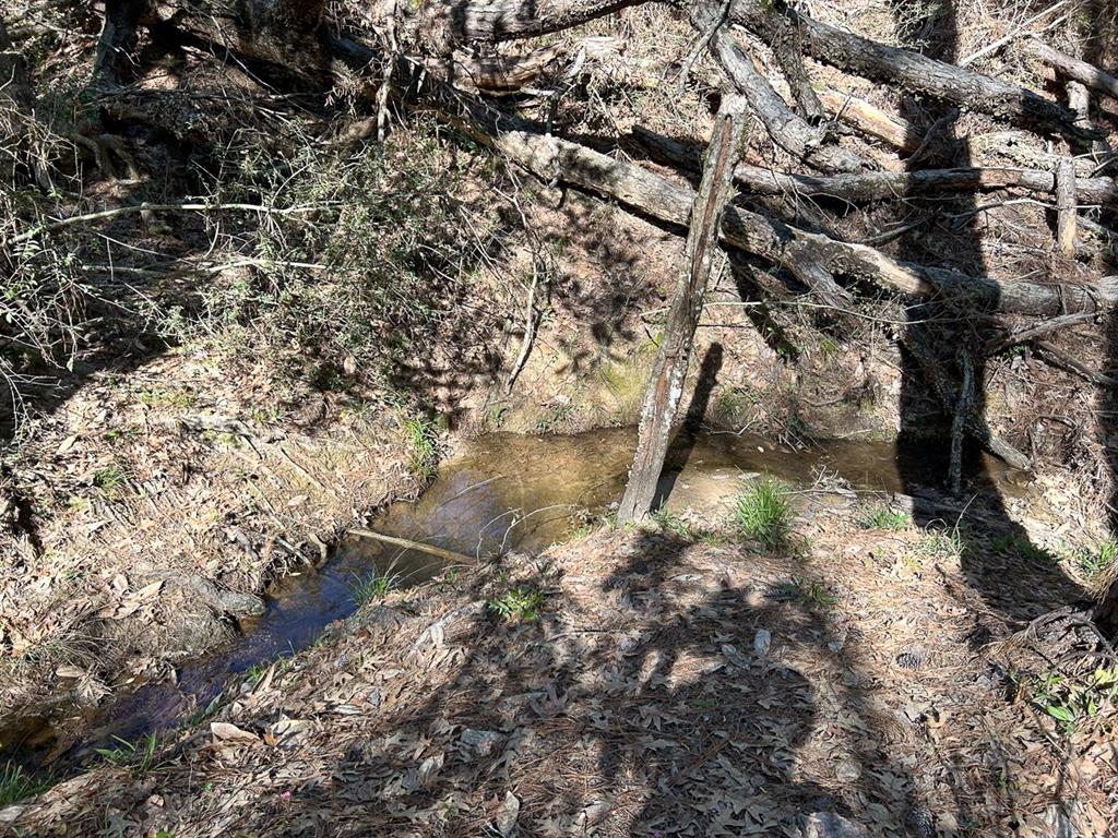 Ripple Creek Dr, Coldspring, Texas image 31