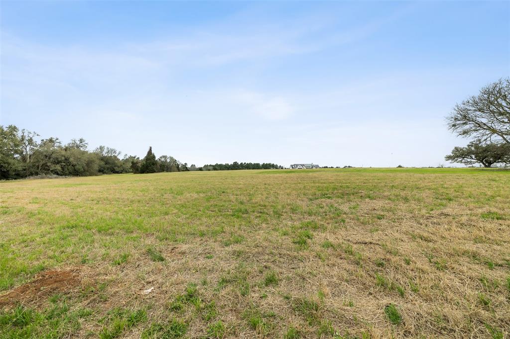 108 Turney Trace, Round Top, Texas image 4