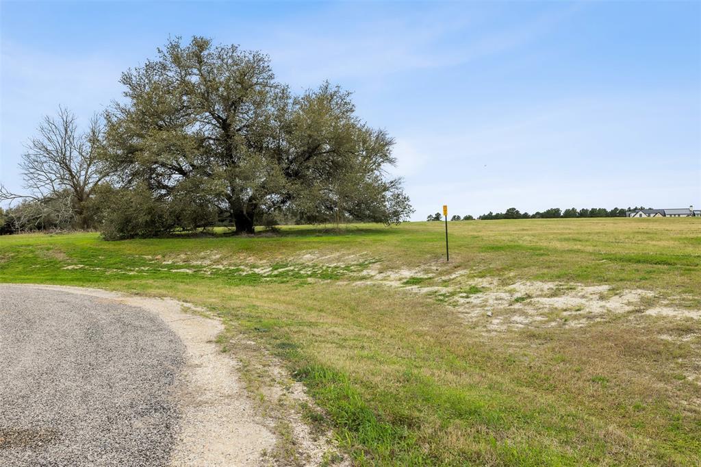 108 Turney Trace, Round Top, Texas image 3