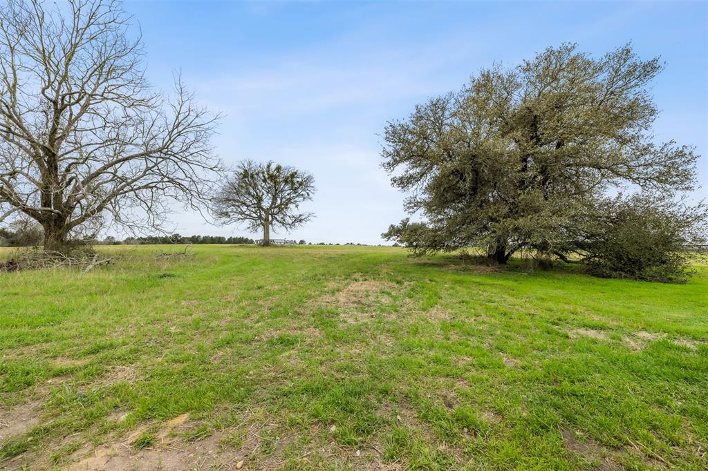 108 Turney Trace, Round Top, Texas image 1