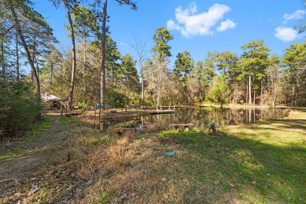 15901 Butera Road Road, Magnolia, Texas image 5