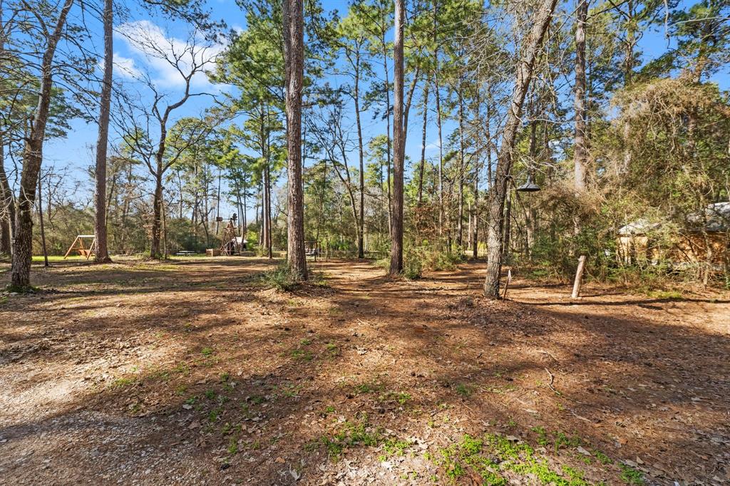 15901 Butera Road Road, Magnolia, Texas image 4