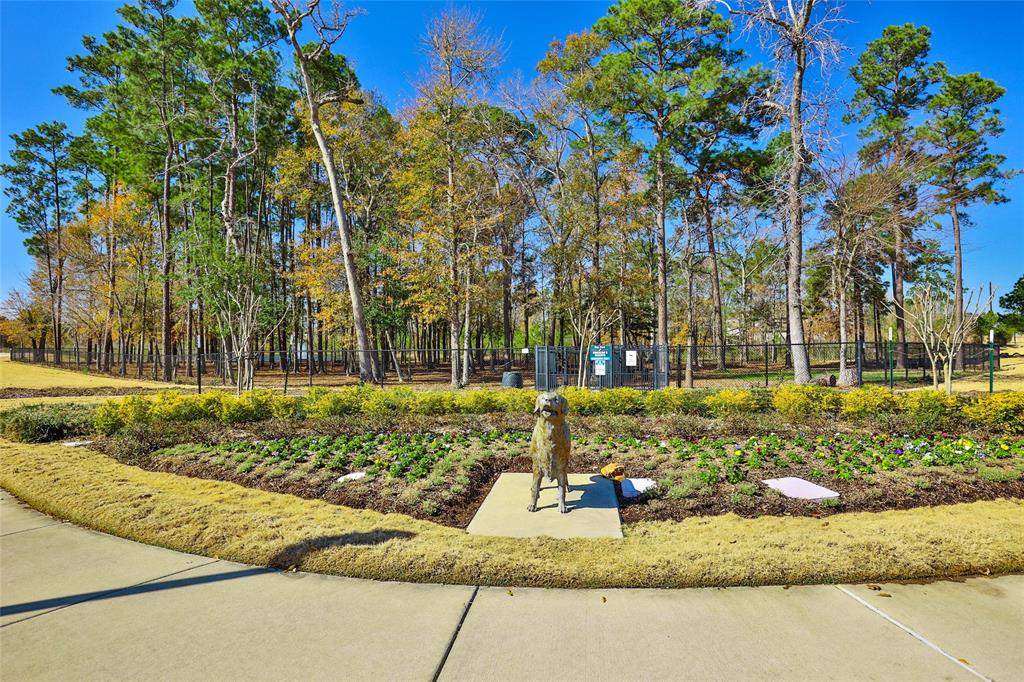 4075 Northern Spruce Drive, Spring, Texas image 45