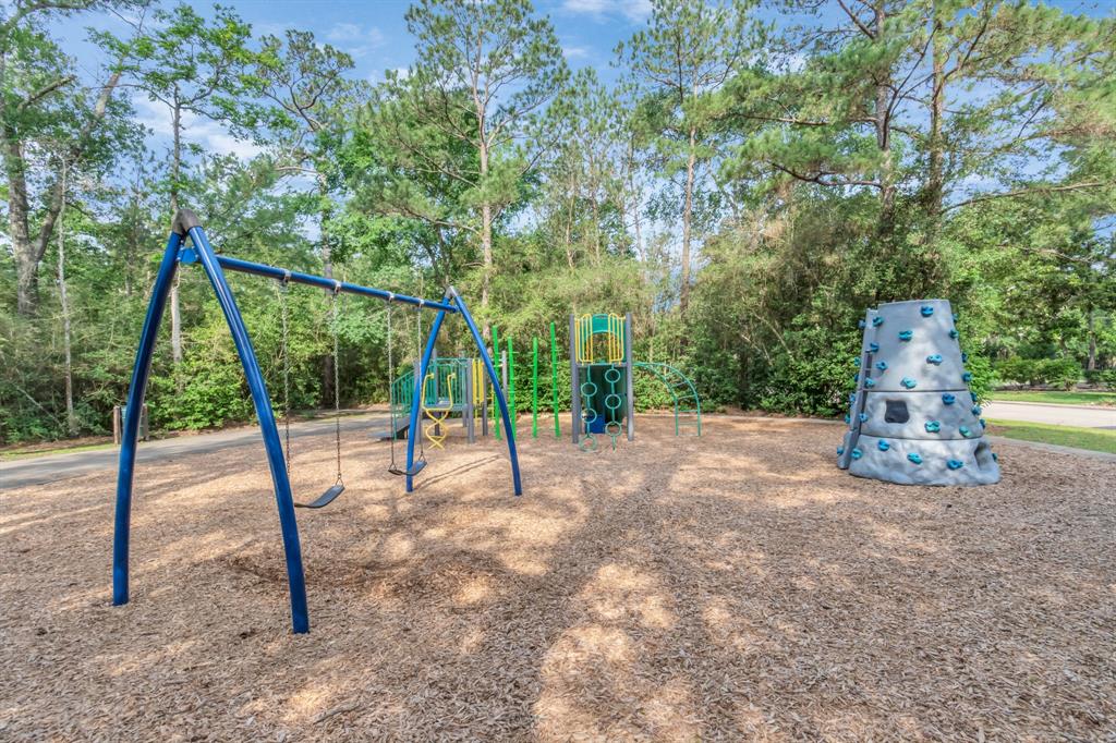 19 Long Springs Place, The Woodlands, Texas image 49