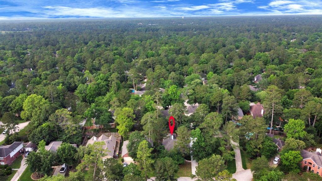 19 Long Springs Place, The Woodlands, Texas image 47
