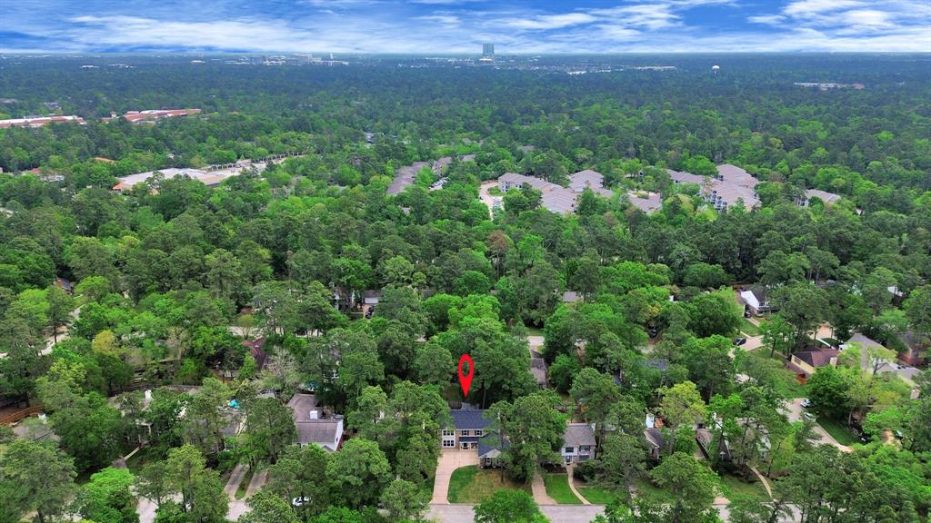 14 Tall Sky Place, The Woodlands, Texas image 45