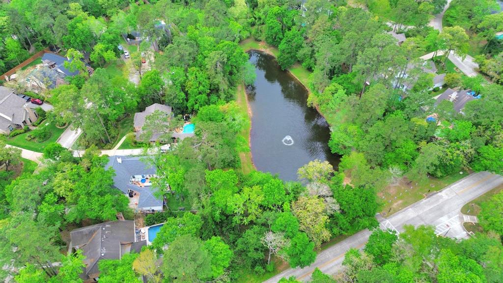 14 Tall Sky Place, The Woodlands, Texas image 43