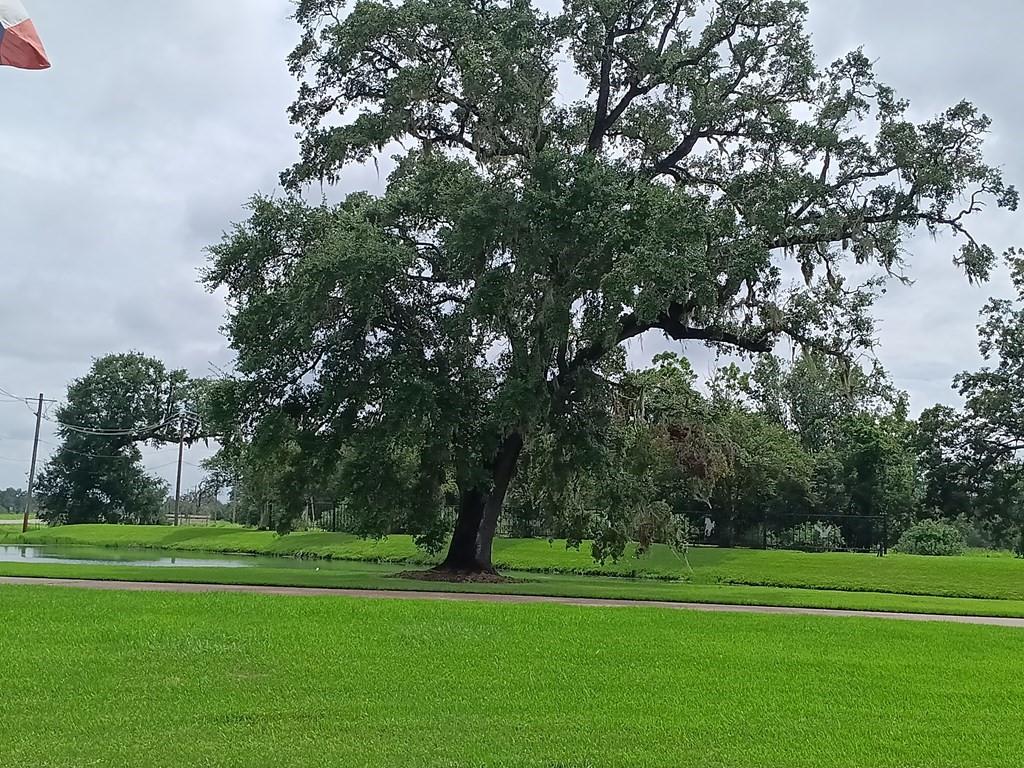 Pony Trail Trail, Angleton, Texas image 6