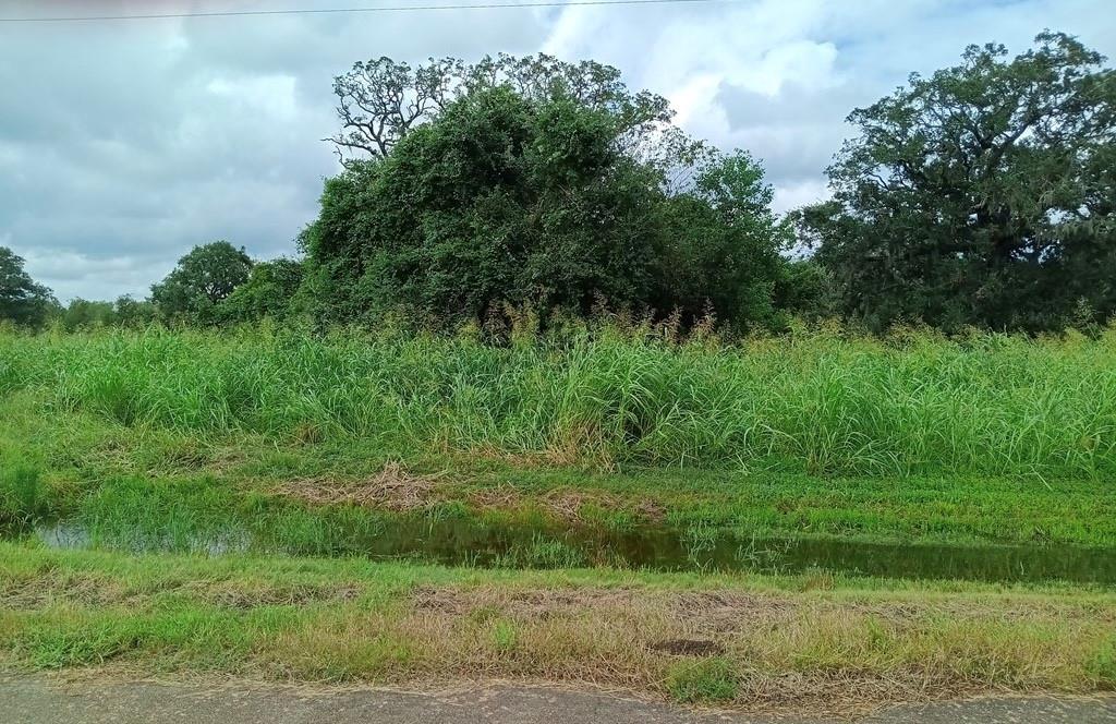 Pony Trail Trail, Angleton, Texas image 2