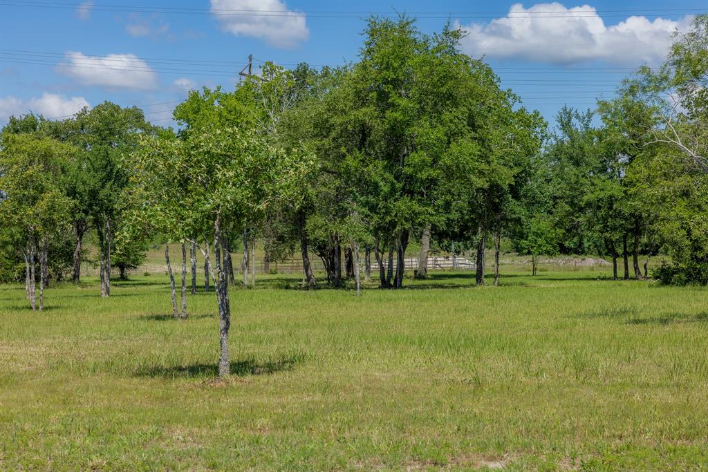 6731 Atakapan Trail, Bedias, Texas image 3