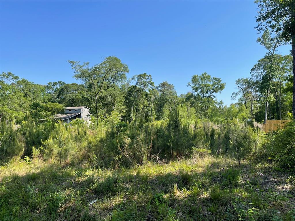 373 County Rd. Kingpont Road Road, Splendora, Texas image 2