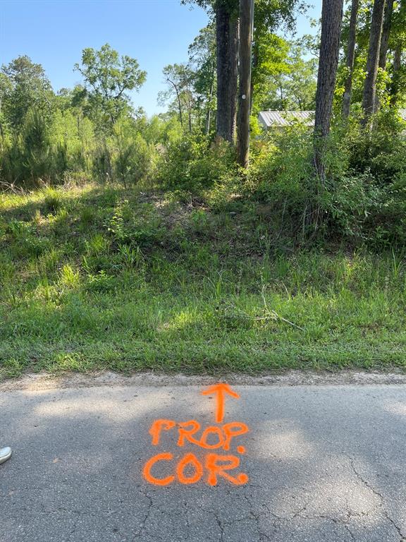 373 County Rd. Kingpont Road Road, Splendora, Texas image 1