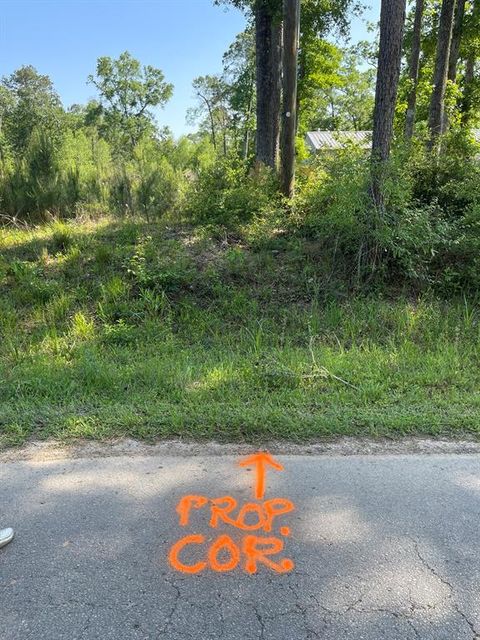 Photo of 373 Kingpont Road Road, Splendora, TX 77372 (MLS # 66943381)