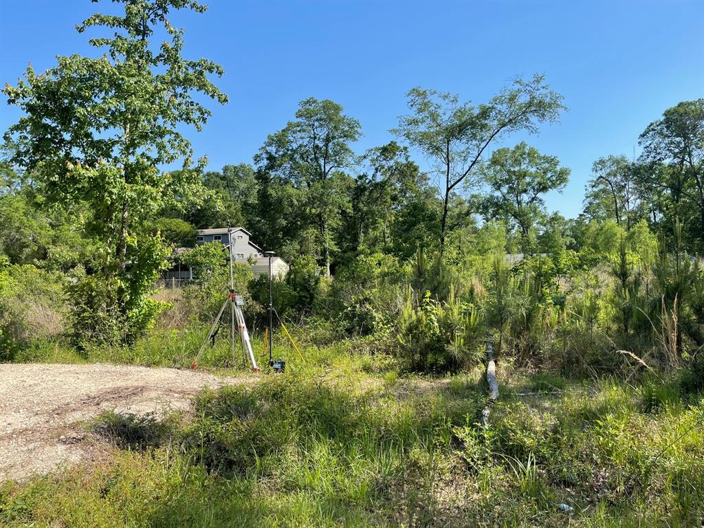 373 County Rd. Kingpont Road Road, Splendora, Texas image 3