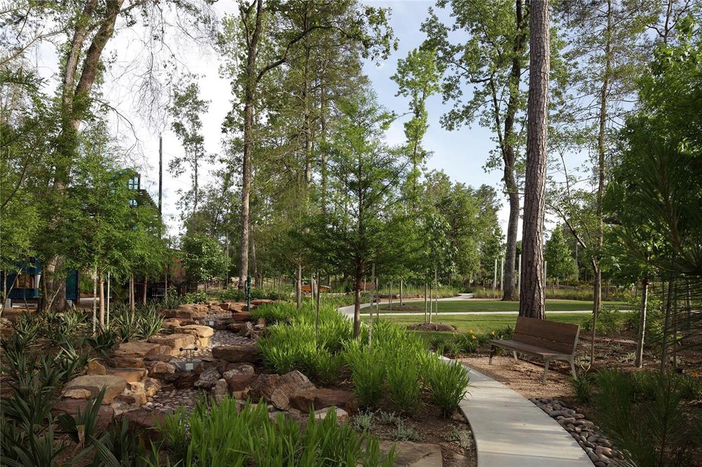 28223 Green Meadow Way, Spring, Texas image 50