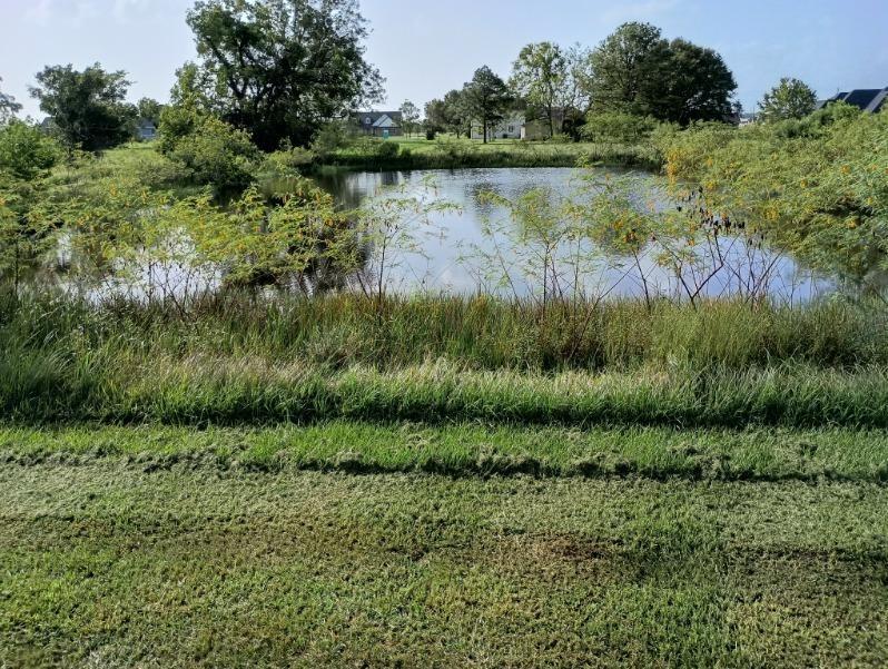 Palomino Trail, Angleton, Texas image 3