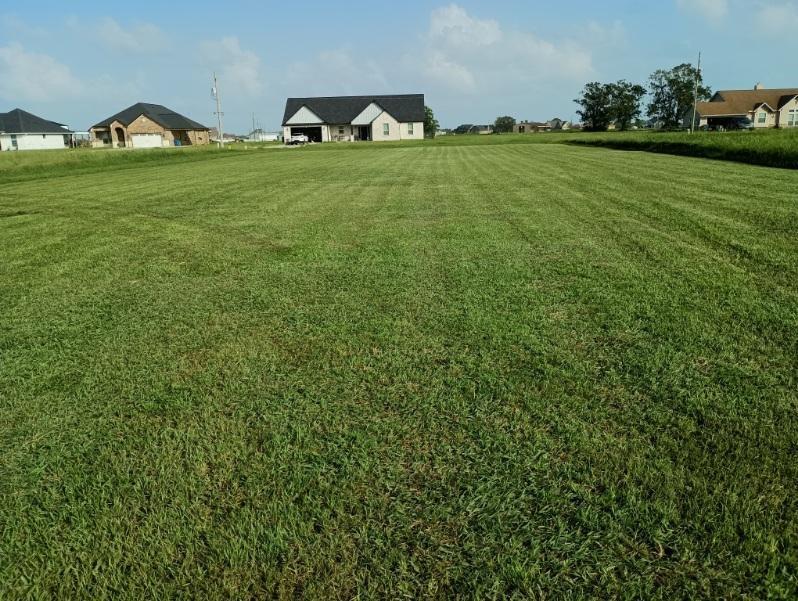 Palomino Trail, Angleton, Texas image 5