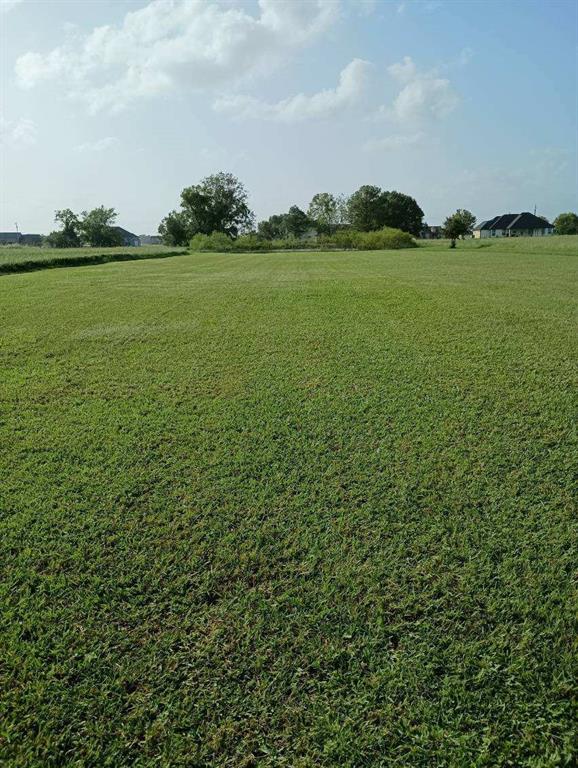 Palomino Trail, Angleton, Texas image 1