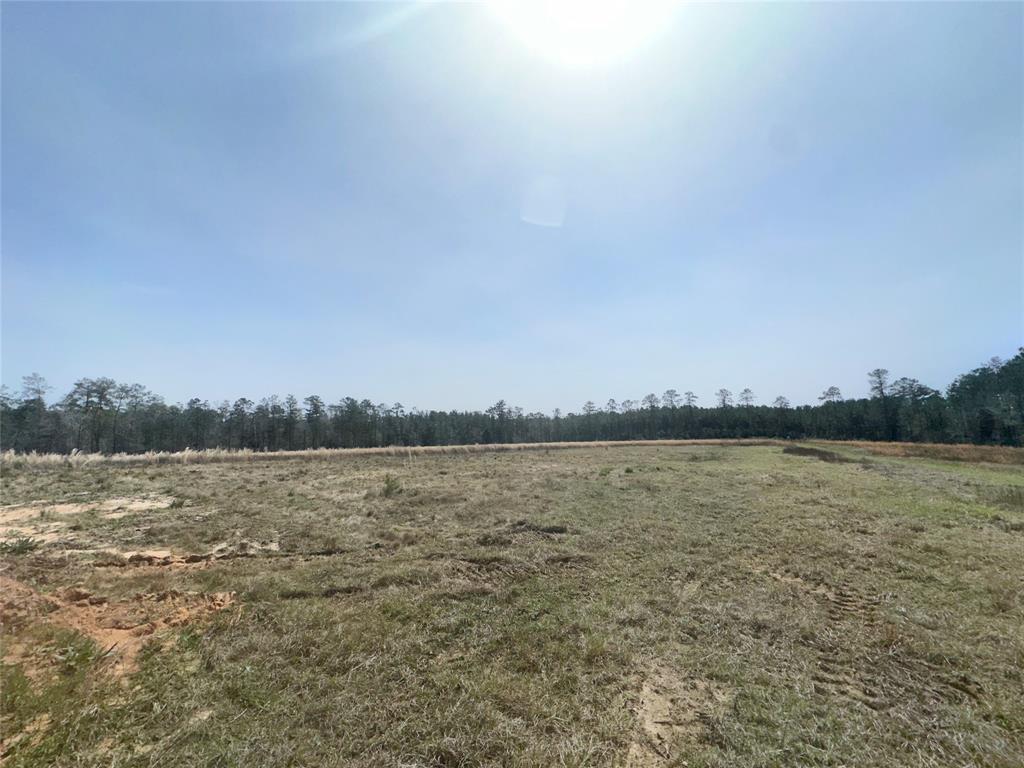 193 Cr 3005, Woodville, Texas image 5