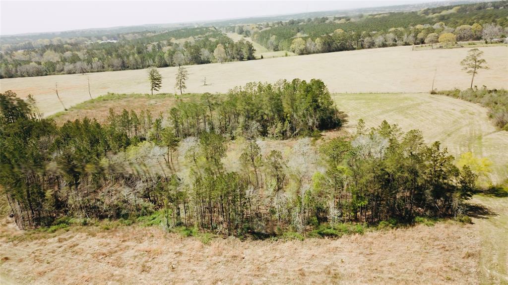 193 Cr 3005, Woodville, Texas image 23