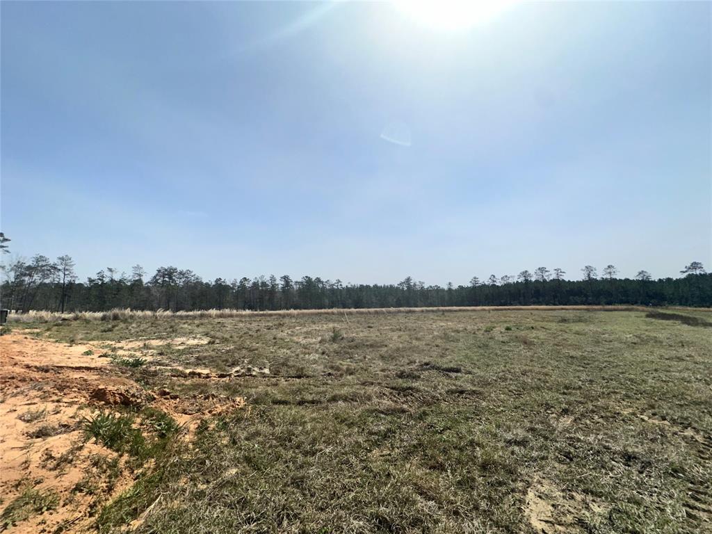193 Cr 3005, Woodville, Texas image 4