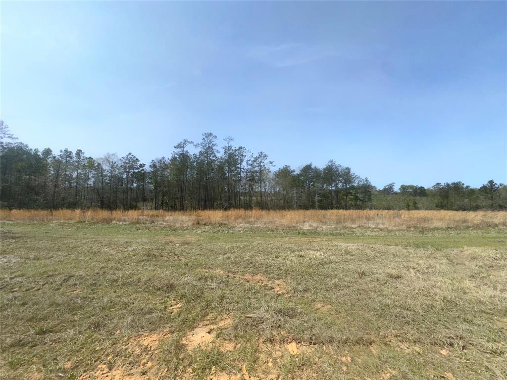 193 Cr 3005, Woodville, Texas image 6