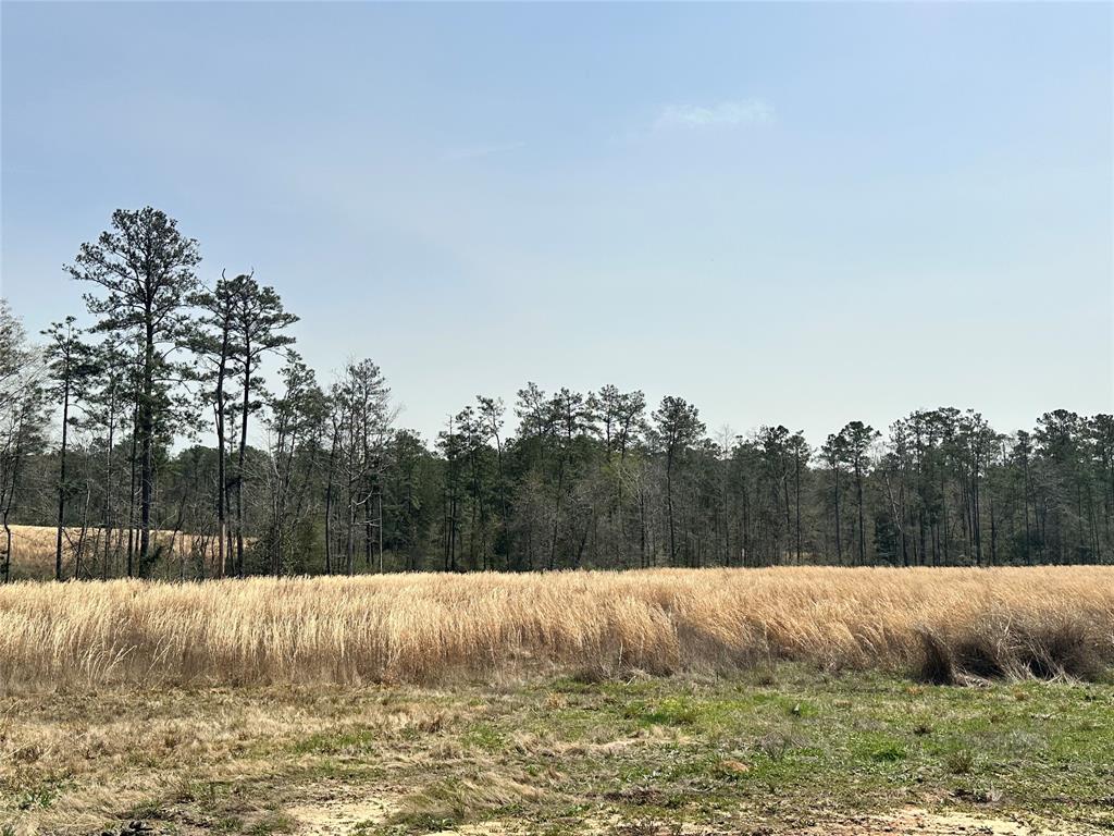193 Cr 3005, Woodville, Texas image 10