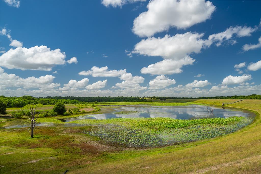 Highway 30, College Station, Texas image 19