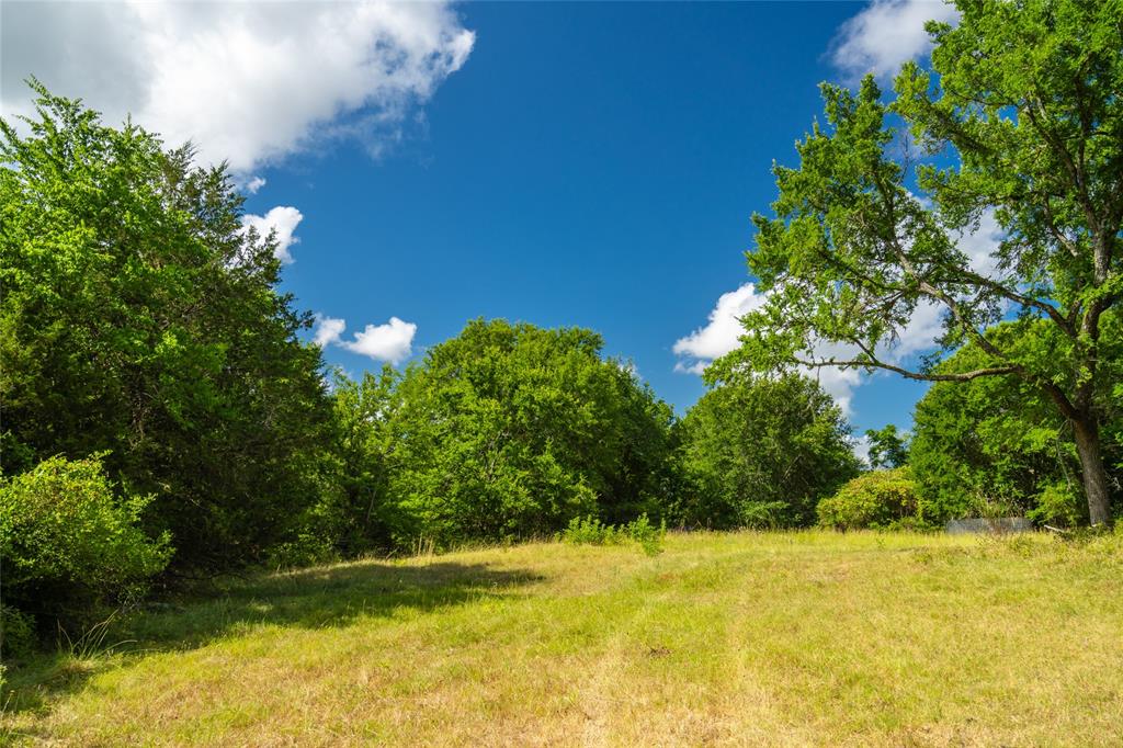 Highway 30, College Station, Texas image 9