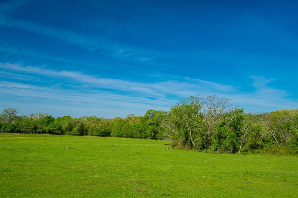 Highway 30, College Station, Texas image 2