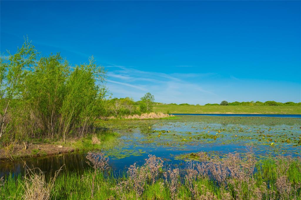 Highway 30, College Station, Texas image 4