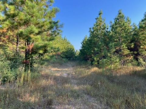 Photo of 290 Red Hollow, Livingston, TX 77351 (MLS # 51143108)