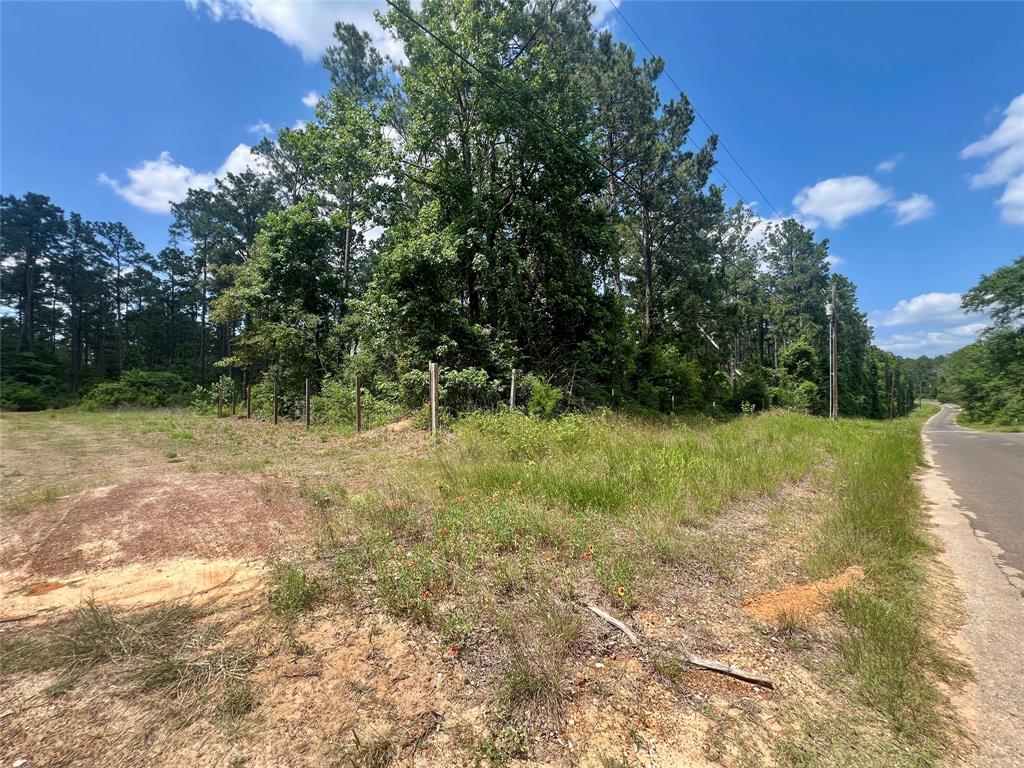 1859 Mill Gate Road, Livingston, Texas image 5