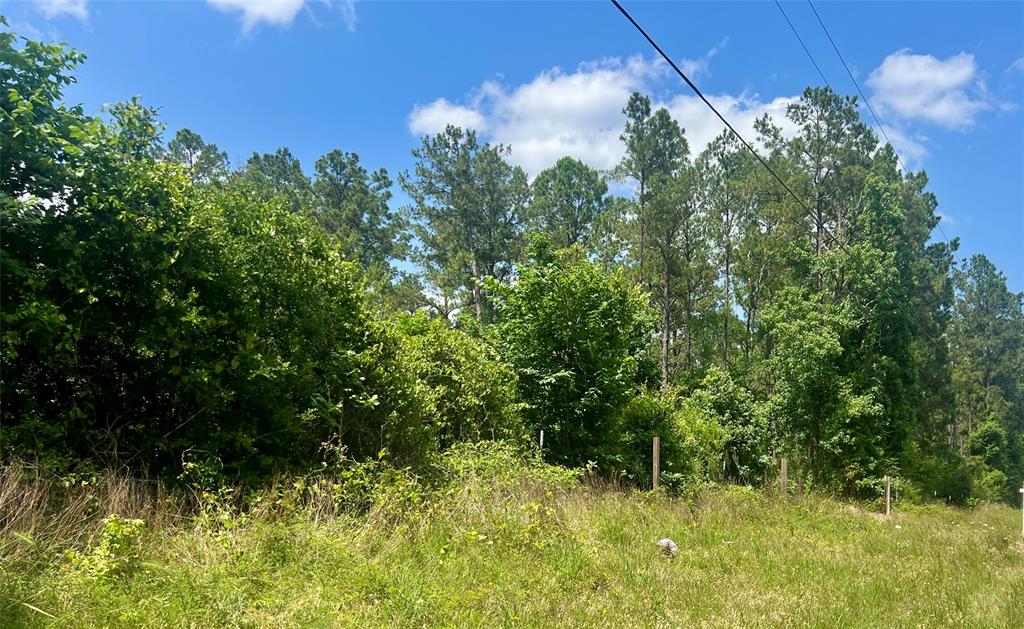1859 Mill Gate Road, Livingston, Texas image 4
