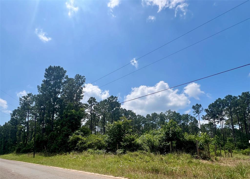 1859 Mill Gate Road, Livingston, Texas image 11