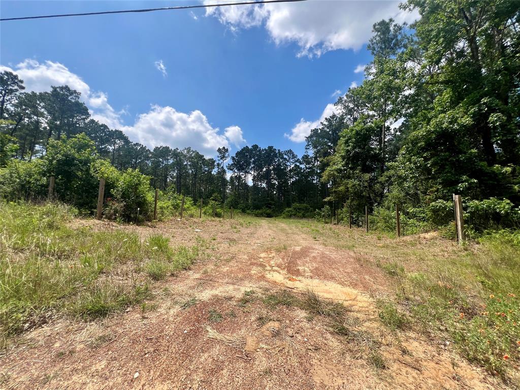 1859 Mill Gate Road, Livingston, Texas image 2