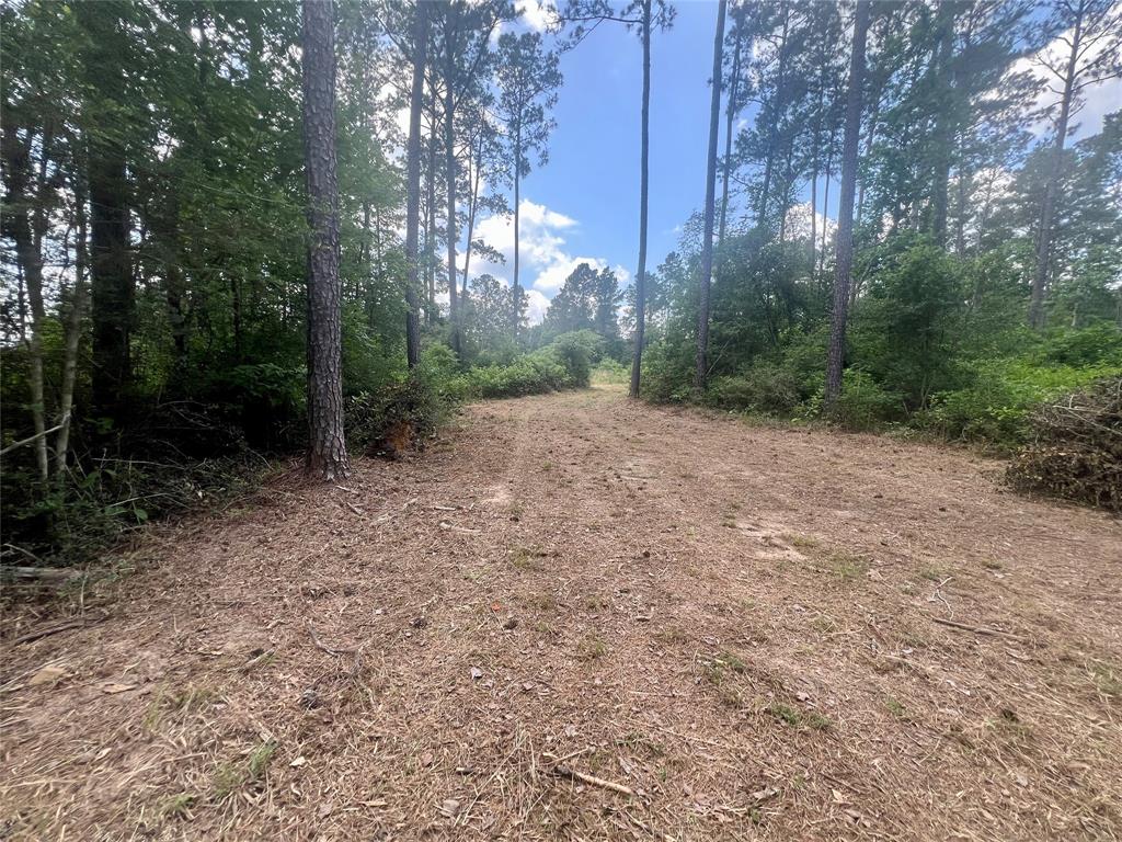 1859 Mill Gate Road, Livingston, Texas image 16