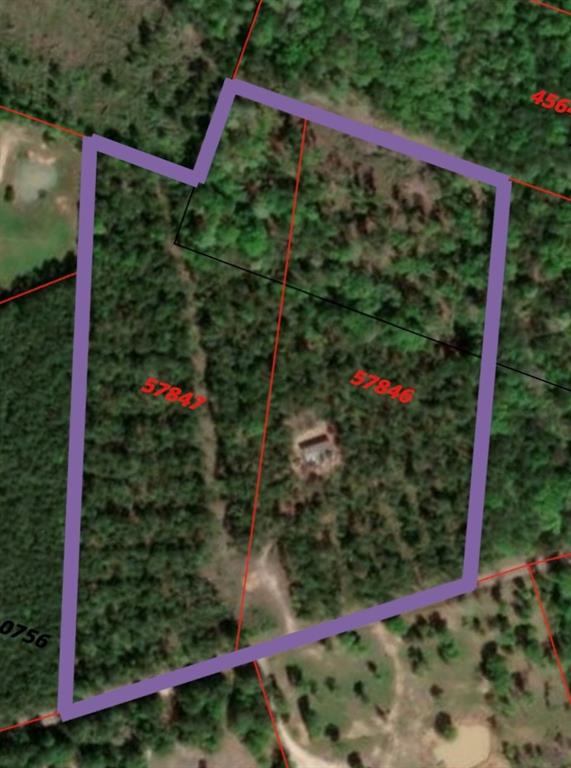 1859 Mill Gate Road, Livingston, Texas image 3