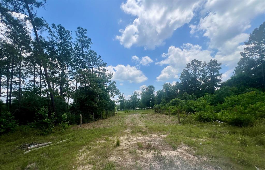 1859 Mill Gate Road, Livingston, Texas image 8