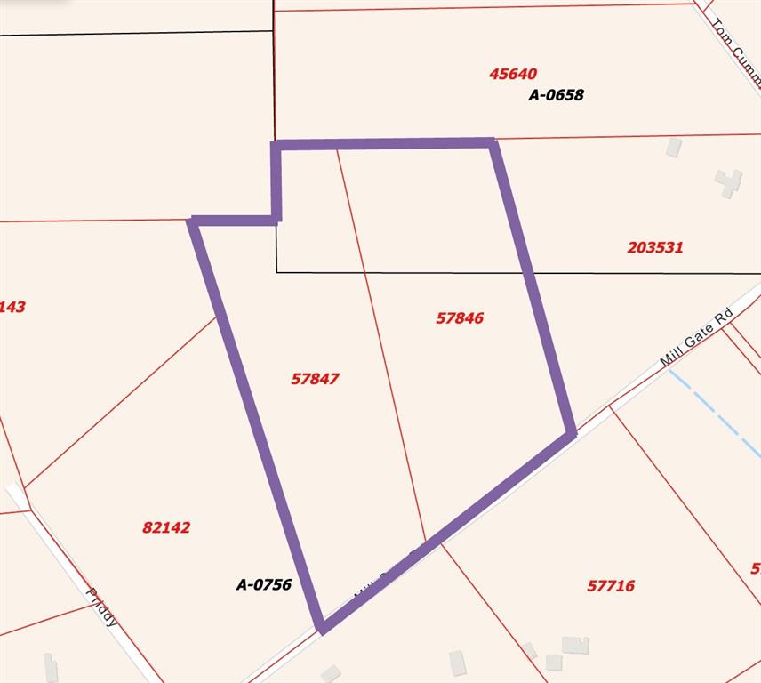1859 Mill Gate Road, Livingston, Texas image 26