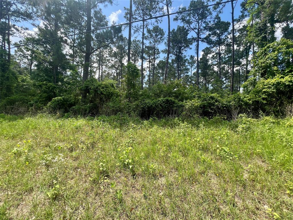 1859 Mill Gate Road, Livingston, Texas image 10