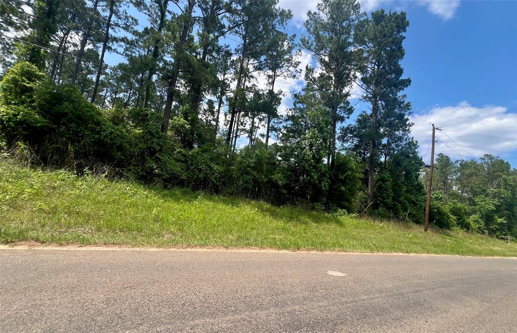 1859 Mill Gate Road, Livingston, Texas image 7