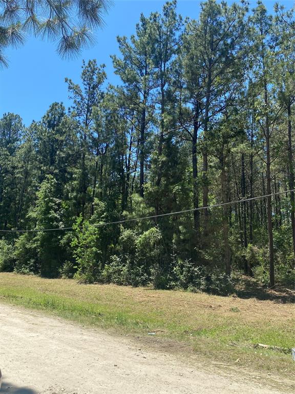 14628 Shadows End Drive, Plantersville, Texas image 3