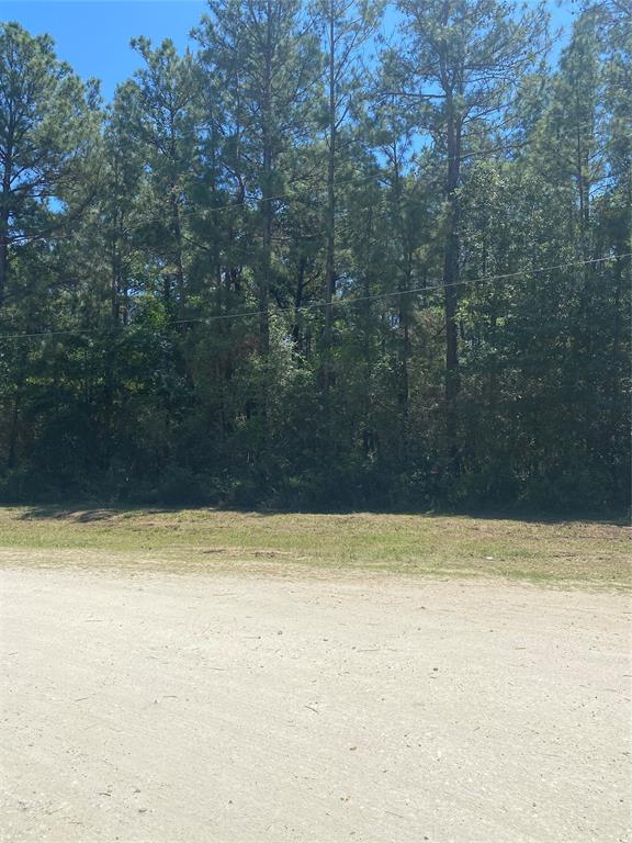 14628 Shadows End Drive, Plantersville, Texas image 2