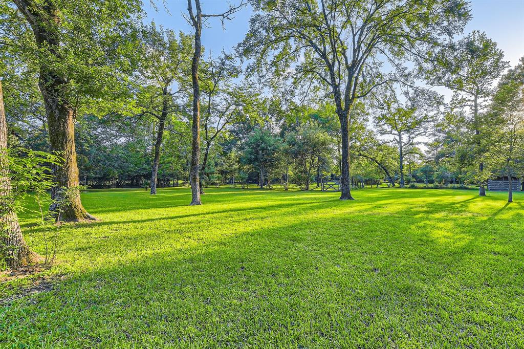 30319 Highland Boulevard, Magnolia, Texas image 23