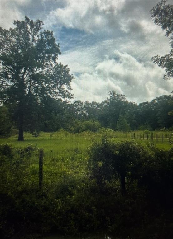 11285 Crossno Drive, Cleveland, Texas image 5