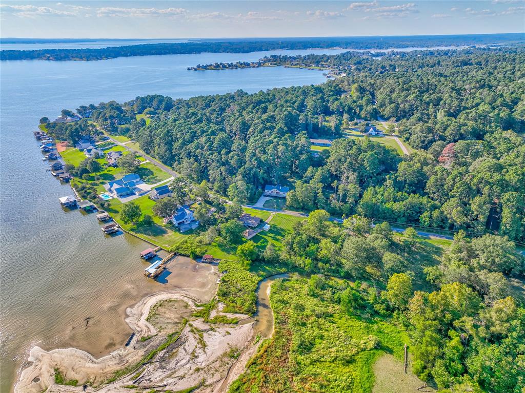 480 Caney Creek Dr Dr, Livingston, Texas image 3