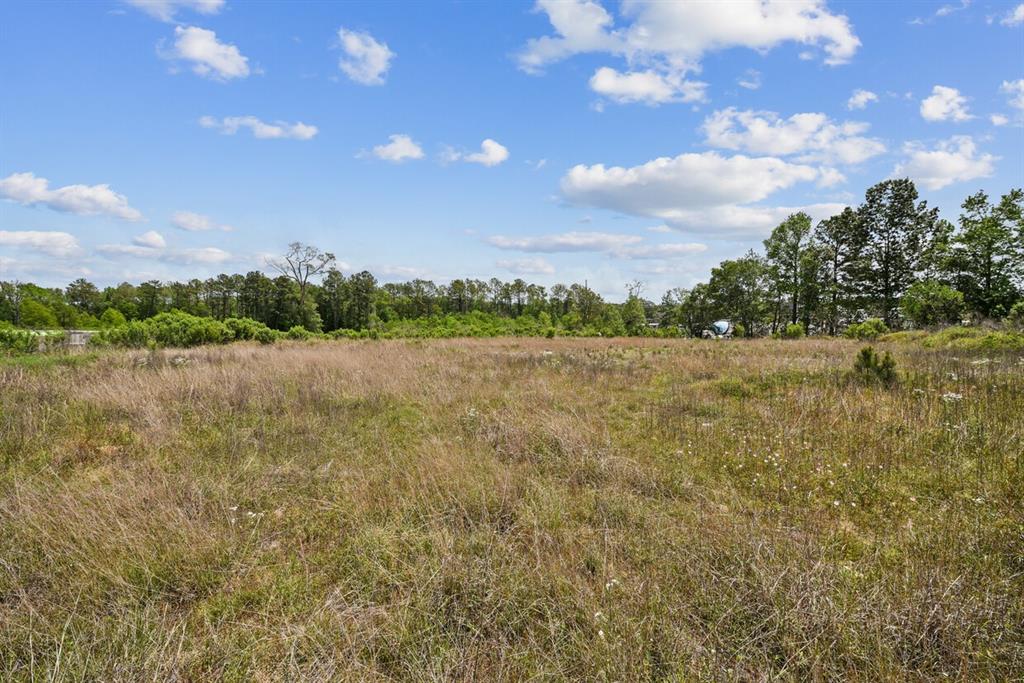 Farm To Market Road 1314, Porter, Texas image 4