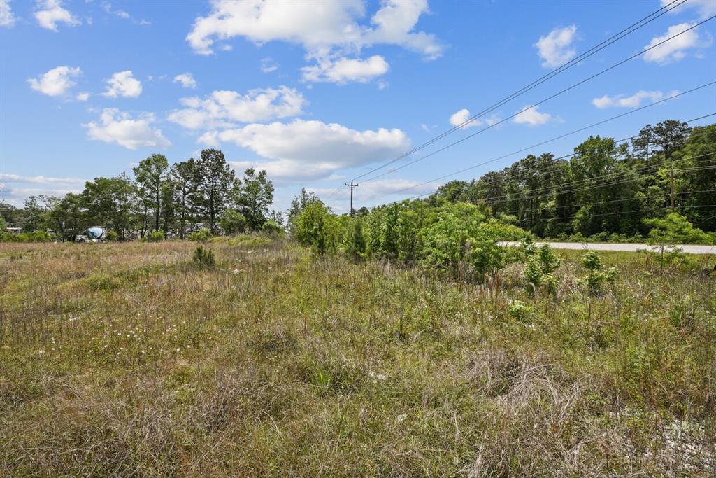 Farm To Market Road 1314, Porter, Texas image 2